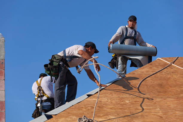 Best Roofing Contractor Near Me  in Glenville, WV